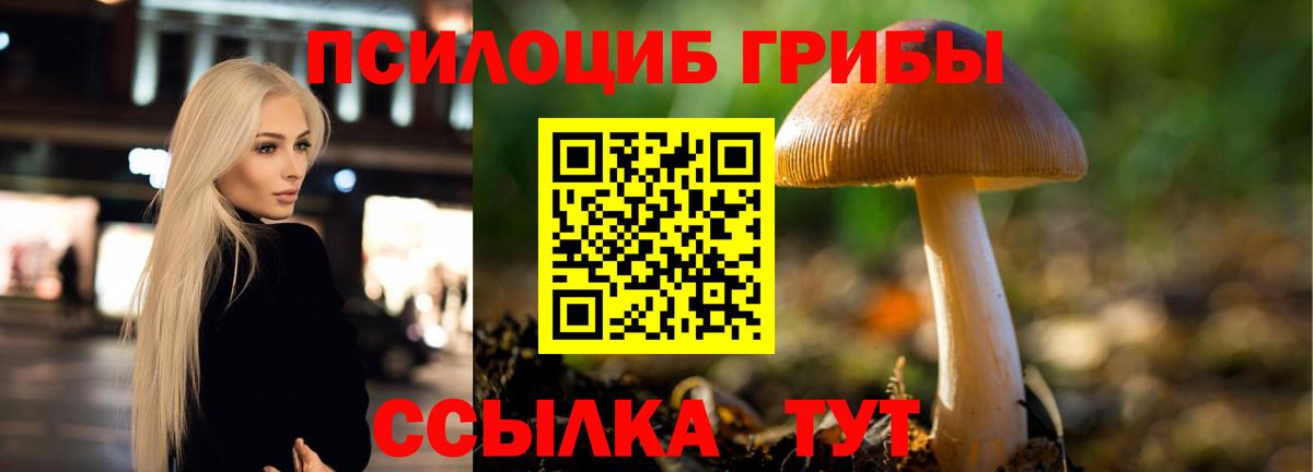 Галлюциногенные грибы Psilocybine cubensis  Вход с VPN  Воронеж 